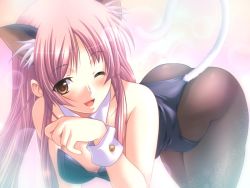 Rule 34 | 1girl, animal ears, atelier kaguya, bent over, blush, brown eyes, cat ears, cat tail, dungeon crusaderz, dungeon crusaderz tales of demon eater, erika rouleburg, game cg, kittysuit, m&amp;m, nontraditional playboy bunny, one eye closed, pantyhose, pink hair, solo, tail, wink