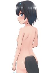 Rule 34 | 1girl, absurdres, ass, black eyes, black hair, breasts, commentary, completely nude, cowboy shot, from behind, head wings, highres, kemono friends, looking at viewer, looking back, medium breasts, medium hair, nude, shiraha maru, shoulder blades, simple background, solo, superb bird-of-paradise (kemono friends), tail, white background, wings