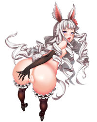Rule 34 | 1girl, :d, animal ears, ass, ass grab, bent over, black gloves, black thighhighs, bluehole studio, cleft of venus, drill hair, elbow gloves, elin, flat chest, flower, frilled thighhighs, frills, from behind, gloves, hair flower, hair ornament, highres, long hair, looking at viewer, looking back, lucknight, naughty face, nipples, no anus, nude, open mouth, petite, purple eyes, pussy, rabbit ears, rabbit tail, silver hair, smile, solo, tail, tera online, thighhighs, tongue, tongue out, uncensored, very long hair