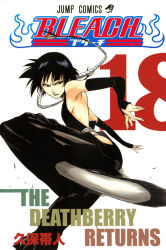 Rule 34 | 00s, black hair, bleach, breasts, highres, kubo tite, official art, short hair, sideboob, small breasts, sui-feng, volume cover