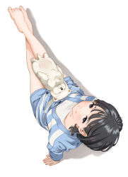 Rule 34 | 1girl, animal, bare legs, barefoot, black hair, blue shorts, breasts, brown eyes, closed mouth, crossed legs, dog, from above, full body, jacket, long sleeves, looking at viewer, looking up, mattaku mousuke, on lap, original, shadow, shirt, shorts, simple background, sitting, small breasts, smile, solo, striped clothes, striped jacket, twitter username, white background, white shirt