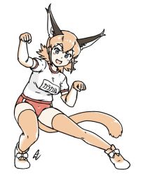 Rule 34 | 1girl, acesrulez, bloomers, blush, bow, breasts, caracal (kemono friends), caracal ears, caracal tail, gloves, gym shirt, gym uniform, hair between eyes, katakana, kemono friends, looking at viewer, medium breasts, multicolored hair, open mouth, orange hair, red bloomers, shirt, signature, smile, solo, thighhighs, translated, underwear, white background, white shirt
