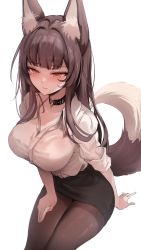 Rule 34 | 1girl, absurdres, animal ear fluff, animal ears, black choker, black skirt, blush, breasts, brown eyes, brown hair, brown pantyhose, cat ears, cat girl, cat tail, choker, closed mouth, collared shirt, from above, highres, large breasts, long sleeves, original, pantyhose, shirt, simple background, skirt, solo, tail, thighs, white background, white shirt, zerocat