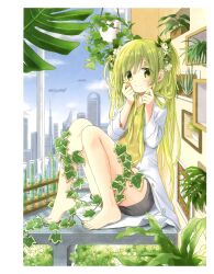 Rule 34 | 1girl, absurdres, aoki ume, bare legs, barefoot, black skirt, green eyes, green hair, green nails, highres, indoors, knees up, lab coat, leaf, long hair, long sleeves, looking at viewer, miniskirt, nail polish, original, plant, potted plant, shirt, sitting, skirt, solo, test tube, toenail polish, toenails, twintails, yellow shirt