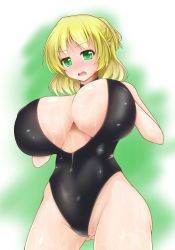 Rule 34 | 1girl, bad id, bad pixiv id, blonde hair, blush, breasts, front zipper swimsuit, gluteal fold, green eyes, huge breasts, hydrant (kasozama), meme attire, mizuhashi parsee, one-piece swimsuit, ponytail, solo, swimsuit, touhou, wavy mouth, wet