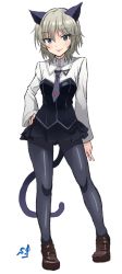 Rule 34 | 1girl, anastasia (idolmaster), animal ears, black pantyhose, blue eyes, cat ears, cat tail, contrapposto, cosplay, full body, hand on own hip, highres, idolmaster, idolmaster cinderella girls, pantyhose, sanya v. litvyak, sanya v litvyak (cosplay), shift (waage), short hair, silver hair, simple background, skirt, smile, solo, standing, strike witches, tail, trait connection, world witches series
