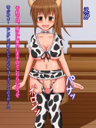 Rule 34 | 1girl, animal print, blush, breasts, brown eyes, brown hair, cleavage, cosplay, covered testicles, cow horns, cow print, fake horns, futanari, highres, horns, large breasts, long hair, looking at viewer, open mouth, ponytail, testicles, thighhighs, translated