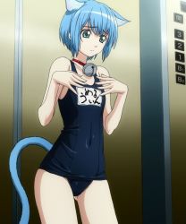 Rule 34 | 1girl, alien, animal ears, aqua eyes, asobi ni iku yo!, bare shoulders, bell, blue hair, cat ears, cat tail, catian, covered navel, elevator, flat chest, frown, hip focus, jingle bell collar, melwin, name tag, navel, one-piece swimsuit, school swimsuit, screencap, short hair, skin tight, solo, standing, swimsuit, tail
