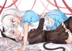 Rule 34 | 2girls, all fours, animal ear fluff, animal ears, apron, blush, closed mouth, deogho (liujinzy9854), eye contact, grey hair, looking at another, maid apron, maid headdress, multiple girls, original, parted lips, pointy ears, ribbon, tail, white hair, yuri