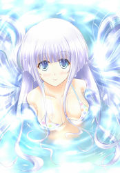 Rule 34 | 1girl, artist request, bikini, blue eyes, blush, breasts, highres, inia sestina, long hair, muv-luv, muv-luv alternative, muv-luv total eclipse, smile, solo, swimsuit, water, white hair