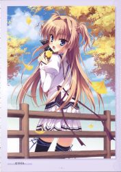 Rule 34 | 1girl, absurdres, autumn, autumn leaves, black thighhighs, cloud, color halftone, day, fang, fence, food, ginkgo tree, hair intakes, hair ribbon, highres, leaf, leg ribbon, looking back, mashiroiro symphony, muririn, open mouth, outdoors, ribbon, school uniform, sena airi, sky, solo, sweet potato, thigh ribbon, thighhighs, tree, two side up, zettai ryouiki