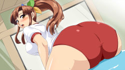 Rule 34 | 1girl, 95-tan, ass, blush, breasts, brown eyes, brown hair, buruma, check commentary, commentary request, female focus, gym uniform, huge ass, large breasts, long hair, looking at viewer, looking back, open mouth, os-tan, solo, sweat, toushi ryoku, wide hips