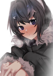 Rule 34 | 1girl, absurdres, ao oni (onioni-aoi), arknights, black hair, black jacket, blush, character request, check character, closed mouth, feet out of frame, fur-trimmed jacket, fur-trimmed sleeves, fur trim, hair between eyes, hair intakes, hair ornament, hairclip, highres, jacket, knees up, la pluma (arknights), long sleeves, looking at viewer, puffy long sleeves, puffy sleeves, purple eyes, simple background, sitting, solo, white background