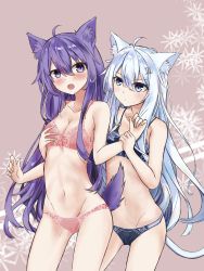 Rule 34 | 2girls, absurdres, ahoge, akatsuki (kancolle), animal ears, bad id, bad pixiv id, bare arms, bare shoulders, black bra, black panties, blue eyes, blue hair, blush, bra, grabbing another&#039;s breast, breasts, brown background, budesonide, cat ears, cat girl, cat tail, cleavage, closed mouth, commentary request, dog ears, dog girl, dog tail, fang, grabbing, grabbing from behind, groin, hair between eyes, hibiki (kancolle), highres, kantai collection, kemonomimi mode, long hair, multiple girls, navel, open mouth, panties, pink bra, pink panties, purple eyes, purple hair, sidelocks, small breasts, tail, underwear, underwear only, v-shaped eyebrows, very long hair, yuri