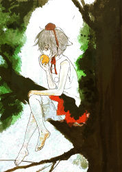 Rule 34 | 1girl, barefoot, female focus, in tree, inubashiri momiji, kuma (artist), kuma (crimsonvanilla), sitting, sitting in tree, solo, touhou, tree