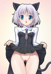 Rule 34 | 00s, animal ears, blue eyes, cleft of venus, clothes lift, fujirin, no panties, sanya v. litvyak, skirt, skirt lift, strike witches, tail, world witches series