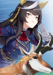 1girl absurdres animal_ears black_hair breasts calstone_light_o_(umamusume) commentary deer emphasis_lines gloves hair_ornament herohero_(higashi_no_dou) highres hime_cut horse_ears horse_girl looking_at_viewer medium_breasts portrait running solo sweat umamusume yellow_eyes