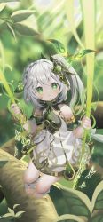 Rule 34 | 1girl, bare shoulders, barefoot, blurry, blurry background, blush, bracelet, branch, commentary request, cross-shaped pupils, crystal, detached sleeves, dress, female focus, full body, gem, genshin impact, green eyes, green gemstone, green hair, green theme, grey dress, grey hair, grey sky, hair between eyes, hair ornament, hands up, heart, heart hair ornament, highres, jewelry, leaf, leaf hair ornament, long hair, looking to the side, looking up, multicolored hair, nahida (genshin impact), open mouth, outdoors, petite, pointy ears, ponytail, short sleeves, side ponytail, sitting, sky, solo, sunlight, swing, symbol-shaped pupils, toenails, two-tone hair, vision (genshin impact), yuujin (yuzinn333)