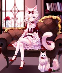 Rule 34 | 1girl, absurdres, animal ears, artist name, bell, blue eyes, book, bookshelf, bow, cat, cat ears, center frills, couch, crescent, crossed legs, dress, facial mark, flower, frilled sleeves, frills, hair bow, heterochromia, high heels, highres, indoors, jingle bell, juliet sleeves, long sleeves, looking at viewer, original, petticoat, puffy sleeves, pumps, red bow, red dress, red flower, red footwear, red rose, rose, shadow, sheya, short hair, signature, silver hair, sitting, thighhighs, vase, white background, white cat, wide sleeves, window, yellow eyes, zettai ryouiki