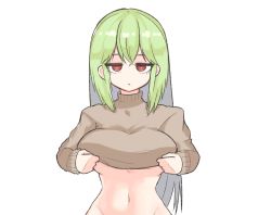 Rule 34 | 1girl, :/, angleworld, banshee (last origin), bottomless, breasts, bright pupils, clothes lift, crossed bangs, crotch, expressionless, jitome, large breasts, last origin, light green hair, long hair, navel, red eyes, sanpaku, sidelocks, simple background, solo, sweater, sweater lift, tan sweater, turtleneck, turtleneck sweater, underboob, upper body, very long hair, white background, wide hips