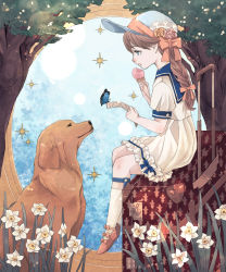 Rule 34 | 1girl, arikawa anri, blue background, blue eyes, braid, braided ponytail, brown hair, bug, butterfly, commentary, daffodil, dog, dress, fleur-de-lis, flower, food, frilled dress, frills, hat, hat ribbon, highres, ice cream, ice cream cone, insect, kneehighs, long hair, looking down, newspaper, open mouth, original, profile, ribbon, sailor dress, shoes, short sleeves, single braid, sitting, socks, solo, sparkle, suitcase, thigh strap, tree, white socks