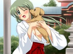 1girl aqua_eyes blush breasts censored clothes_pull convenient_censoring dog female_focus green_hair hakama hakama_skirt holding japanese_clothes long_hair medium_breasts miko no_bra one_eye_closed open_mouth puppy red_hakama sanshita shrine skirt solo wardrobe_malfunction wince