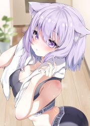 Rule 34 | 1girl, absurdres, after bathing, alternate costume, animal ear fluff, animal ears, blush, breasts, cat ears, cat girl, cleavage, grey sports bra, gym shorts, hair between eyes, highres, hololive, indoors, large breasts, looking at viewer, medium hair, nekomata okayu, no tail, parted lips, piyokuma, plant, potted plant, purple eyes, purple hair, shorts, solo, sports bra, towel, virtual youtuber, wet, wooden floor