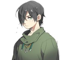 Rule 34 | 1boy, aiba ibuki, anchor necklace, black hair, bright pupils, closed mouth, commentary request, green eyes, green hoodie, hair over one eye, hood, hood down, hoodie, jewelry, kazehara ibara, male focus, necklace, saibou shinkyoku, short hair, simple background, sketch, solo, white background, yellow pupils