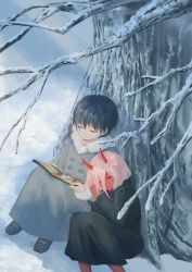 Rule 34 | 10s, 1boy, 1girl, absurdres, bad id, bad pixiv id, black cloak, black footwear, black hair, book, chu dengdeng, cloak, coat, colored skin, commentary request, couple, darling in the franxx, closed eyes, fur trim, grey coat, hetero, highres, hiro (darling in the franxx), holding, holding book, hood, hooded cloak, horns, long coat, long hair, oni horns, open book, parka, pink hair, red horns, red skin, shoes, short hair, sitting, snow, tree, winter clothes, winter coat, aged down, zero two (darling in the franxx)