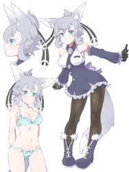 Rule 34 | 1girl, animal ear fluff, animal ears, armpits, arms behind back, black gloves, black pantyhose, blue bra, blue eyes, blue panties, blush, boots, bra, breasts, closed mouth, commentary request, cowboy shot, detached sleeves, dress, eyebrows, frilled dress, frilled sleeves, frills, frown, full body, fur trim, gloves, hair ribbon, high ponytail, highres, inu kaze yamu, leaning forward, looking at viewer, medium breasts, multiple views, navel, original, outstretched arms, panties, pantyhose, ribbon, short dress, short hair, silver hair, simple background, sleeveless, sleeveless dress, standing, tail, thick eyebrows, underwear, underwear only, white background