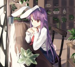 Rule 34 | 1girl, animal ears, bad id, bad twitter id, blue skirt, chair, closed mouth, collared shirt, commentary request, indoors, leaning forward, long hair, long sleeves, looking at viewer, necktie, plant, potted plant, purple hair, rabbit ears, rabbit girl, rabbit tail, red eyes, red necktie, reisen udongein inaba, shelf, shirt, sitting, skirt, smile, solo, suminagashi, tail, touhou, very long hair, white shirt, window, wing collar
