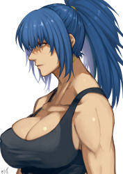 Rule 34 | 1girl, bare shoulders, black tank top, blue eyes, blue hair, breasts, cleavage, jewelry, large breasts, leona heidern, long hair, military, muscular, muscular female, ponytail, snk, soldier, solo, tank top, the king of fighters, upper body, white background, yasunososaku