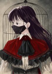 Rule 34 | 1girl, absurdres, ascot, bang dream!, bang dream! it&#039;s mygo!!!!!, birdcage, black ascot, brown hair, cage, capelet, collared shirt, commentary, corset, earrings, english commentary, frills, highres, jewelry, long hair, looking to the side, mask, mole, mole under eye, mouth mask, neck flower, purple eyes, raito taisha, red capelet, shiina taki, shirt, solo, upper body