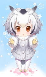 Rule 34 | 10s, 1girl, black hair, blonde hair, blue background, blush, brown eyes, chibi, coat, floral background, full body, fur trim, gloves, grey coat, hair between eyes, head wings, kemono friends, looking at viewer, mary janes, multicolored hair, northern white-faced owl (kemono friends), onigiri-kun (demmy), open mouth, outstretched arms, pantyhose, reaching, reaching towards viewer, shoes, silver hair, solo, standing, white pantyhose, wings, yellow footwear, yellow gloves