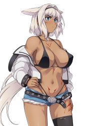 Rule 34 | 1girl, animal ears, arm at side, bare shoulders, belt, bikini, bikini under clothes, black belt, black bikini, black thighhighs, blue eyes, blue shorts, body markings, breasts, caenis (fate), cleavage, closed mouth, collarbone, commentary request, cowboy shot, dark-skinned female, dark skin, fate/grand order, fate (series), hairband, hand on own hip, haruhisky, highleg, highleg bikini, highres, jacket, long sleeves, navel, off shoulder, open clothes, open jacket, short shorts, shorts, single thighhigh, solo, standing, stomach, swimsuit, thighhighs, thighs, white hair, white jacket