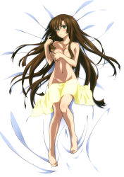 Rule 34 | 10s, 1girl, absurdres, barefoot, bed sheet, blush, breasts, brown hair, cleavage, collarbone, completely nude, covering privates, covering breasts, covering crotch, dakimakura (medium), from above, full body, green eyes, groin, hair between eyes, highres, kirasaka sayaka, long hair, looking at viewer, medium breasts, navel, nude, official art, shiny skin, solo, strike the blood, topless, very long hair, yellow towel
