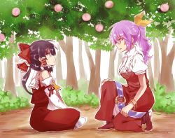 Rule 34 | 2girls, 6 (yuchae), ascot, bow, bracelet, day, detached sleeves, dress, food, fruit, hair bow, hair tubes, hakurei reimu, highres, japanese clothes, jewelry, kneeling, miko, multiple girls, o-ring, on one knee, peach, ponytail, profile, puffy short sleeves, puffy sleeves, short sleeves, sitting, sweat, touhou, tree, watatsuki no yorihime