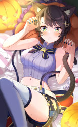 Rule 34 | 1girl, absurdres, animal ear fluff, animal ears, banana de ikopon, bed sheet, belt, black nails, black ribbon, blush, braid, breasts, candy, cat ears, cat girl, cat tail, commentary request, feet out of frame, food, from above, frown, glowing, grey shirt, hair ornament, highres, hololive, jack-o&#039;-lantern, knees together feet apart, knees up, lace, lace panties, legs, looking at viewer, lying, medium breasts, medium hair, midriff, nail polish, navel, neck ribbon, official alternate costume, on back, oozora subaru, oozora subaru (work), panties, paw pose, pillow, ribbon, shiny skin, shirt, short shorts, shorts, side slit, sleeveless, sleeveless shirt, solo, striped clothes, striped shirt, suspender shorts, suspenders, swept bangs, tail, thighs, underwear, vertical-striped clothes, vertical-striped shirt, virtual youtuber, whiskers, white belt