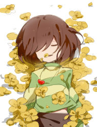 Rule 34 | androgynous, brown hair, chara (undertale), closed eyes, cowboy shot, everina, flower, flower bed, gender request, hair over one eye, heart, heart necklace, jewelry, lying, necklace, open mouth, pants, parted lips, pendant, petals, shirt, short hair, solo, spoilers, striped clothes, striped shirt, undertale