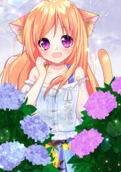 Rule 34 | 1girl, :d, animal ear fluff, animal ears, bad id, bad pixiv id, bare shoulders, blue camisole, blue flower, blue skirt, camisole, cat ears, cat girl, cat tail, collarbone, commentary request, fang, flower, hair between eyes, hand up, hydrangea, long hair, misaki (misaki86), off-shoulder shirt, off shoulder, open mouth, orange hair, original, pink flower, pleated skirt, puffy short sleeves, puffy sleeves, purple eyes, purple flower, rain, shirt, short sleeves, skirt, smile, solo, tail, tail raised, white shirt