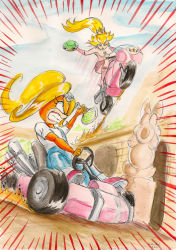 Rule 34 | 2girls, absurdres, angry, blonde hair, blue eyes, bodysuit, breasts, clenched teeth, coco bandicoot, crash bandicoot (series), crash team racing nitro-fueled, crossover, furry, highres, kart, long hair, mario (series), mario kart, mario kart wii, multiple girls, nintendo, overalls, ponytail, princess, princess peach, shell, small breasts, teeth, traditional media