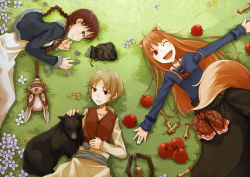 Rule 34 | 00s, 3girls, animal ears, apple, ayakura juu, blonde hair, braid, brown hair, chloe (spice and wolf), circle formation, coin, dog, enekk, flower, food, fruit, grass, highres, holo, long hair, lying, multiple girls, nora arento, one eye closed, ponytail, pouch, red eyes, sheepdog, skirt, spice and wolf, tail, vest, wink, wolf ears, wolf tail