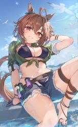Rule 34 | 1girl, absurdres, agnes tachyon (lunatic lab) (umamusume), agnes tachyon (umamusume), ahoge, animal ears, barefoot, bikini, bird, black bikini, blue shorts, breasts, brown eyes, brown hair, cleavage, commentary, day, denim, denim shorts, green shirt, grin, highres, horse ears, horse girl, horse tail, kii-kun (agnes tachyon) (umamusume), kita (kitairoha), large breasts, long hair, looking at viewer, micro shorts, navel, official alternate costume, outdoors, parted lips, seagull, shirt, short sleeves, shorts, sitting, sky, smile, solo, swimsuit, tail, teeth, umamusume