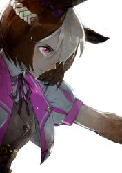 Rule 34 | 1girl, animal ears, brown coat, brown hair, coat, commentary, cropped jacket, crying, crying with eyes open, determined, eyelashes, from side, furrowed brow, hair between eyes, highres, horse ears, horse girl, jacket, multicolored hair, neck ribbon, parted lips, pink eyes, pink ribbon, profile, ribbon, rope, shirt, short hair, short sleeves, simple background, solo, special week (umamusume), tears, toi8, two-tone hair, umamusume, upper body, white background, white hair, white jacket, white shirt, wing collar