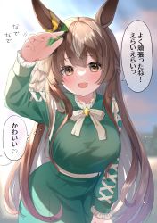 Rule 34 | 1girl, :d, absurdres, animal ears, arm up, blurry, blurry background, blush, bow, braid, breasts, brown eyes, brown hair, commentary request, day, depth of field, dress, etesumsom, frilled sleeves, frills, green dress, grey hair, half updo, highres, horse ears, long hair, long sleeves, looking at viewer, medium breasts, multicolored hair, open mouth, outdoors, pov, satono diamond (umamusume), smile, solo, translated, two-tone hair, umamusume, very long hair, white bow