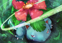 Rule 34 | absurdres, animal focus, artist name, claws, closed mouth, creatures (company), day, day walker1117, english text, fangs, fern, flower, from above, full body, game freak, gen 1 pokemon, grass, green background, green theme, half-closed eyes, highres, looking to the side, nintendo, no humans, outdoors, pink flower, plant, pokemon, pokemon (creature), red eyes, signature, solo, standing, venusaur, vines
