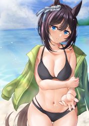 Rule 34 | 1girl, absurdres, animal ears, bare arms, bare shoulders, bikini, black bikini, black hair, blue eyes, blue sky, blush, cloud, commentary request, cowboy shot, day, eishin flash (umamusume), green jacket, head tilt, highres, horse ears, jacket, jacket on shoulders, long sleeves, looking at viewer, navel, ocean, outdoors, short hair, shuten (shutehaan), sky, solo, standing, stomach, swimsuit, tail, umamusume, water