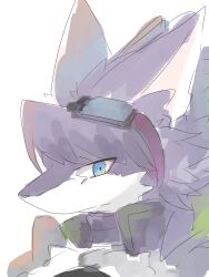 Rule 34 | 1boy, appmon, blue eyes, digimon, furry, goggles, goggles on head, highres, looking at viewer, male focus, shutmon, solo