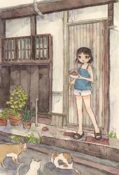 Rule 34 | 1girl, :d, black eyes, black hair, blue shirt, building, cat, day, door, fujitoma, open mouth, original, outdoors, painting (medium), pet food, plant, potted plant, sandals, scenery, shirt, short hair, shorts, smile, standing, traditional media, watercolor (medium), white cat, white shorts