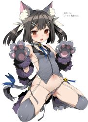 Rule 34 | 1girl, animal ear fluff, animal ears, animal hands, bell, black hair, blush, body blush, breasts, brown eyes, covered erect nipples, detached collar, fake animal ears, fang, fate/kaleid liner prisma illya, fate (series), full body, garter straps, gloves, gluteal fold, grey panties, grey thighhighs, hair ornament, hairband, hairclip, highres, jingle bell, kuromoto-kun (rina masimaro), miyu edelfelt, navel, open mouth, panties, paw gloves, pussy, pussy peek, ribbon, shirt, side-tie panties, simple background, sleeveless, sleeveless shirt, small breasts, solo, squatting, string panties, tail, tail ornament, tail ribbon, thighhighs, twintails, underwear, untied panties, white background